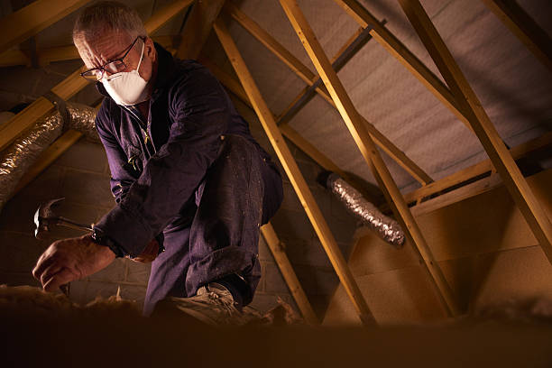 Best Types of Insulation in Pinckney, MI