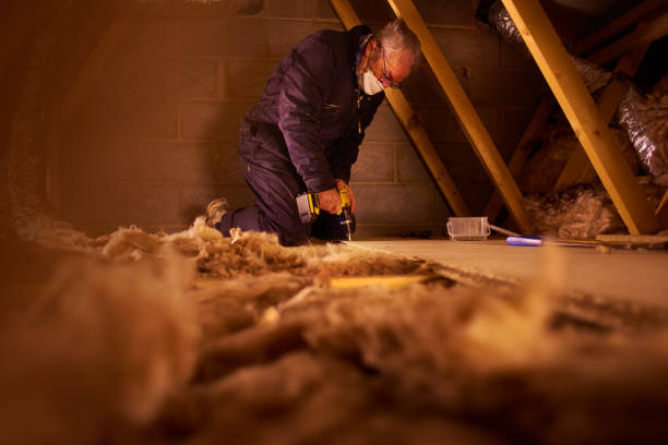 Best Residential Insulation in Pinckney, MI