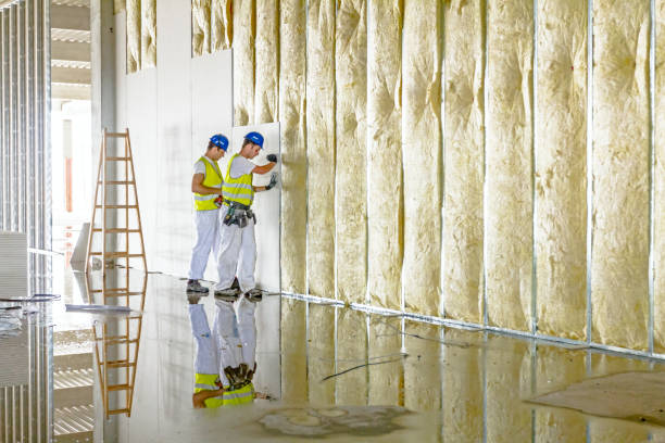 Professional Insulation Contractor in MI